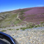 104-Imagen 110