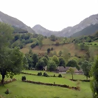 DSCN6509