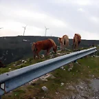 reglaje 034