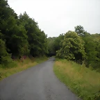 DSCN4729