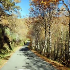 DSCN9139
