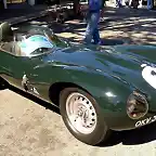 Jaguar XK-D