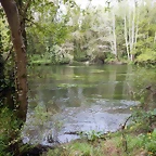 DSCN9184