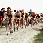 1982-ROUBAIX-HINAULT-KUIPER-VAN DE VELDE-DUCLOS LASSALLE-RAAS-LUDO PEETERS-JONATHAN BOYER-DIRK DEWOLF.