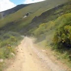 DSCN3982