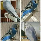 FB_IMG_1507143087879