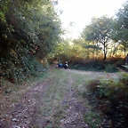 DSCN8486