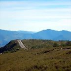 DSCN3729