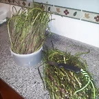 20130309_200503
