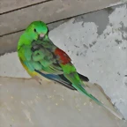 SAM_0843