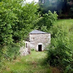 DSCN4534