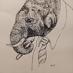 elefante con estilografica