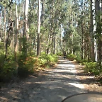 DSCN7749