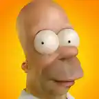 the-real-face-of-the-homer-simpson