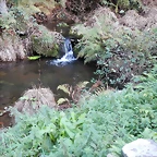 DSCN9640