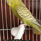 FB_IMG_1497039202291