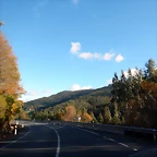 DSCN0807