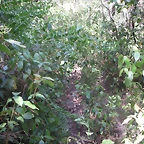PICT0068