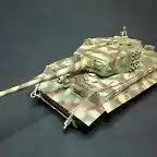 TIGER13