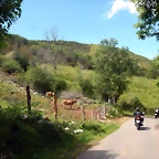 DSCN2654