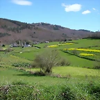 DSCN0269