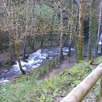 DSCN0300