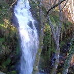 DSCN0331