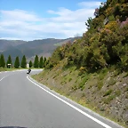 DSCN0219