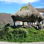 DSCN0281