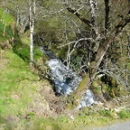 DSCN0315