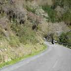 DSCN0314