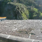 DSCN0352