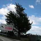 DSCN0202