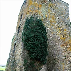 DSCN0278