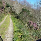 DSCN0306