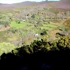DSCN0415
