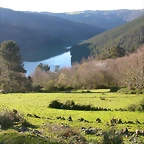 DSCN0437