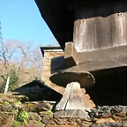 DSCN0454