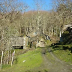 DSCN0459