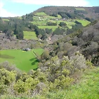 DSCN0241