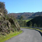 DSCN0317