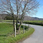 DSCN0266