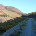 DSCN0418