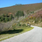 DSCN0395