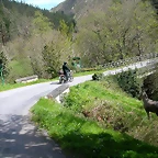 DSCN0229