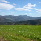 DSCN0217
