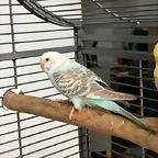 20180715_160254