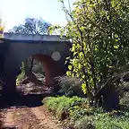 puente desde el arroyo