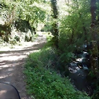 DSCN0066