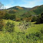 DSCN0996